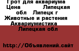 Грот для аквариума › Цена ­ 1 200 - Липецкая обл., Липецк г. Животные и растения » Аквариумистика   . Липецкая обл.